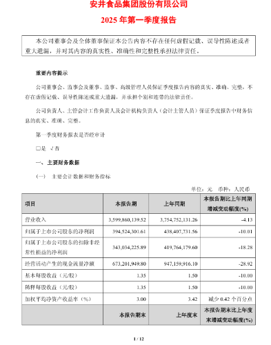 2025第一季度报告